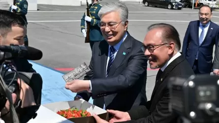 С днем рождения, мистер президент: премьер Малайзии подарил Токаеву торт