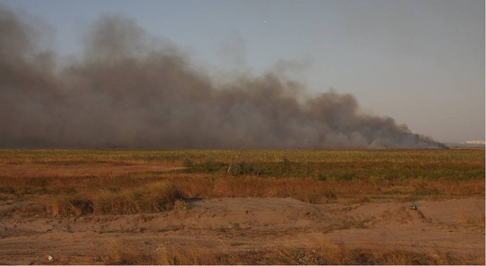 Военнослужащие, участвовавшие в тушении пожаров на севере Казахстана, вернулись в части