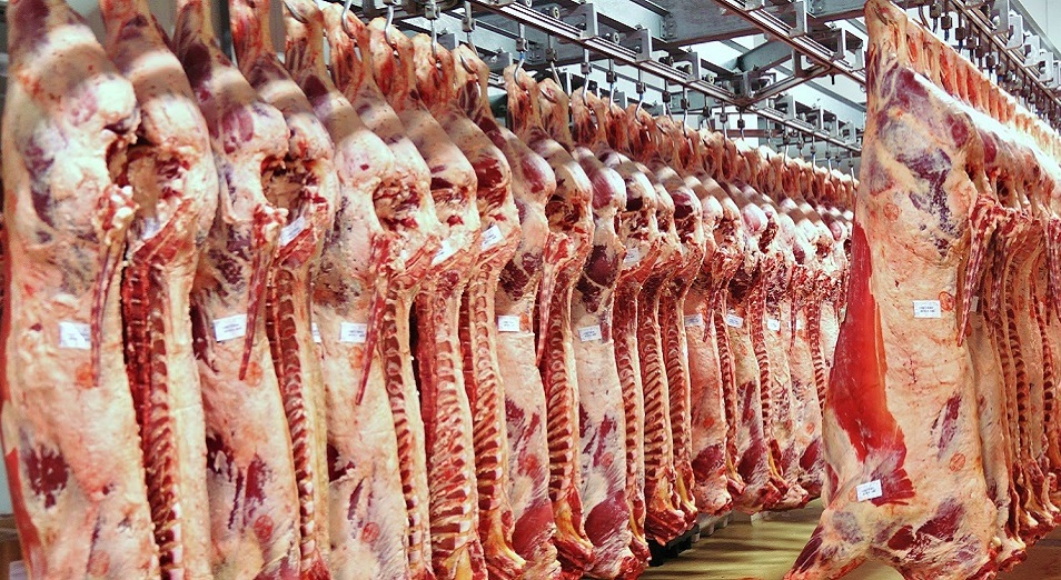 Казахстан экспортировал мяса на $57,7 млн 