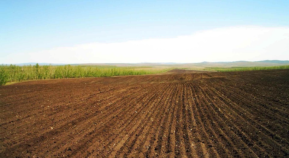 Казахстанцы получат в аренду сельхозземли