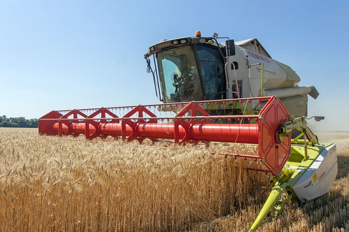 Станет ли прозрачным зерновой рынок Казахстана?