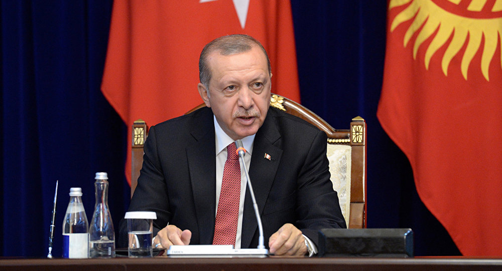 Совет сотрудничества тюркоязычных государств рассчитывает на статус наблюдателя ООН – Эрдоган