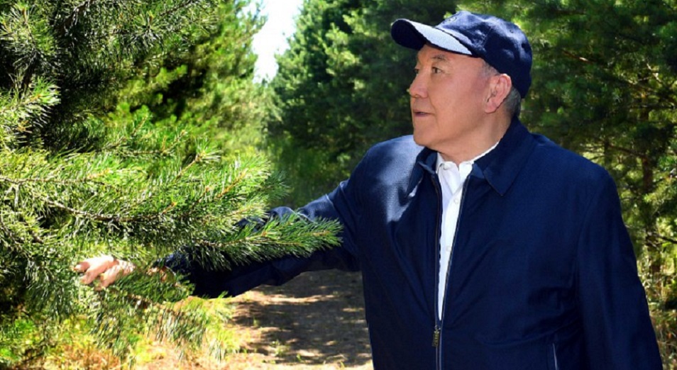 Нурсултан Назарбаев: «Мы строим лес для будущих поколений» 