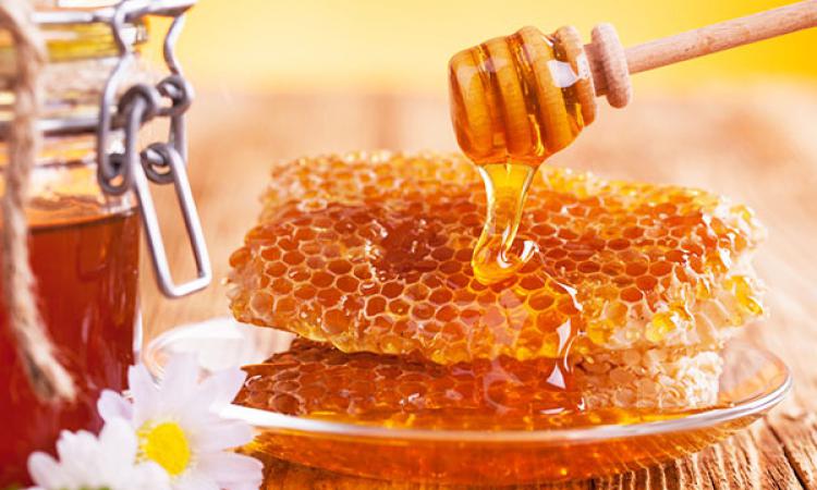 Китай распробовал урджарский мед
