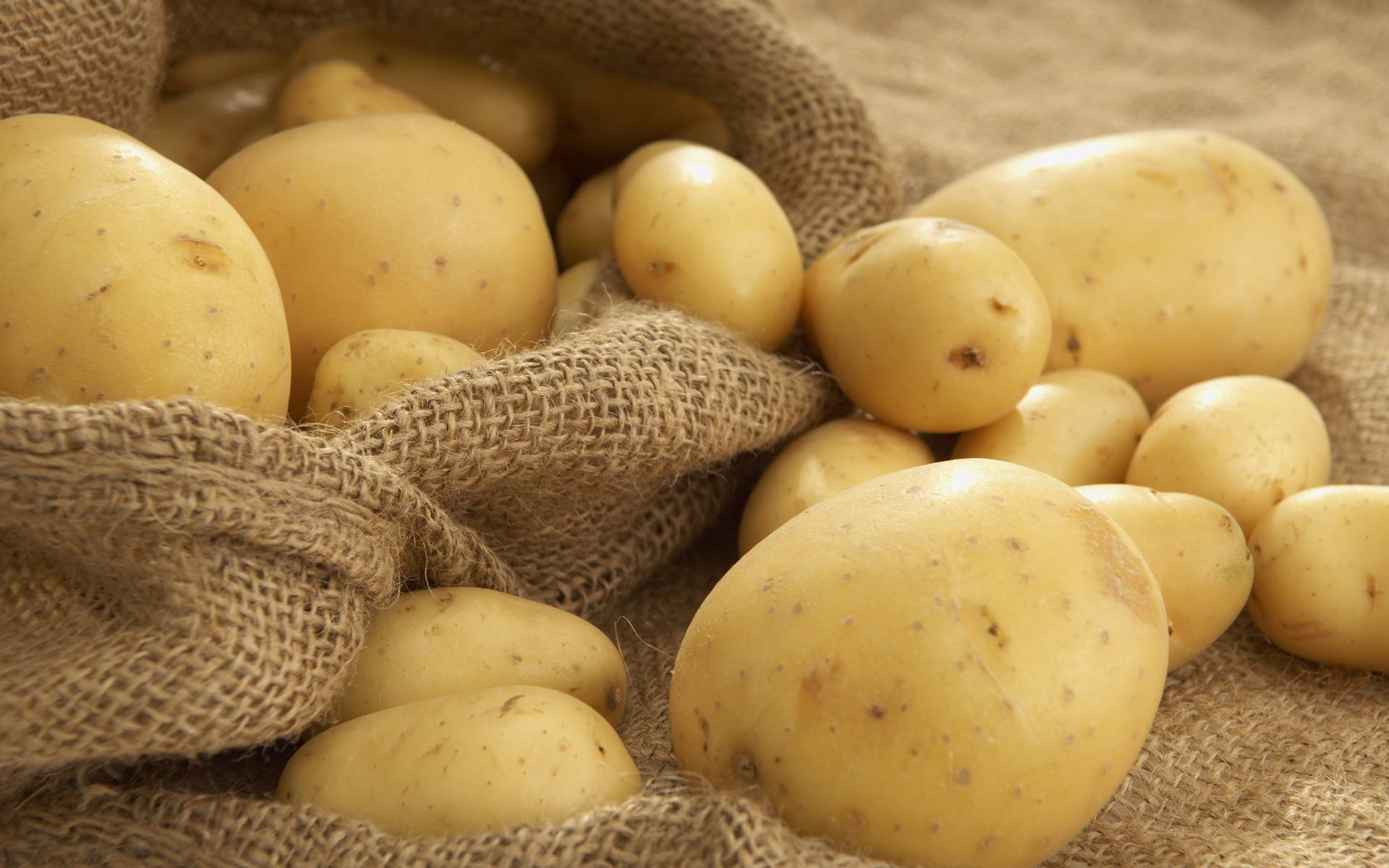 Более 55 тонн картофеля и дынь из Казахстана не пропустил Россельхознадзор