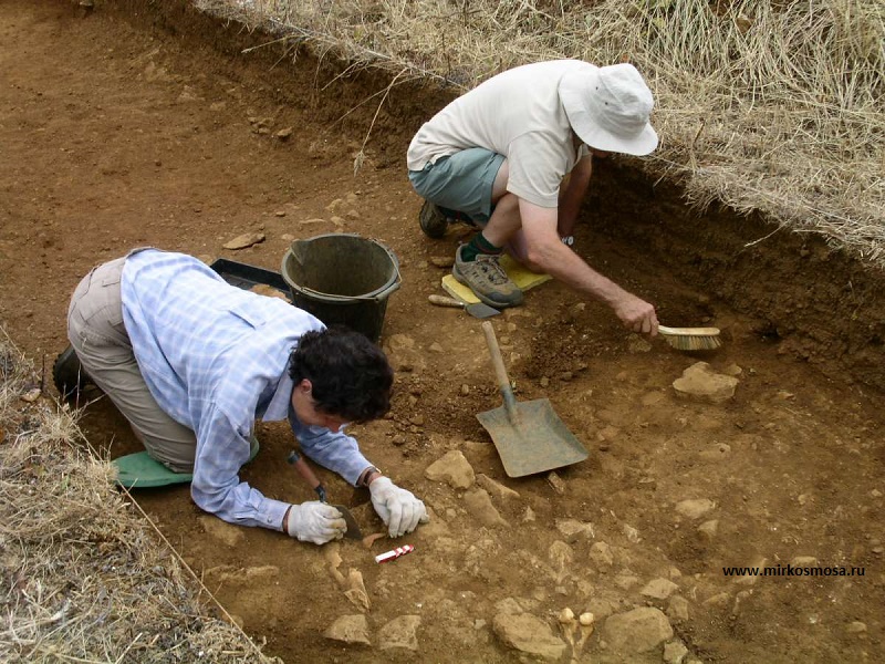 Казахстанские археологи нашли еще одного "золотого человека"