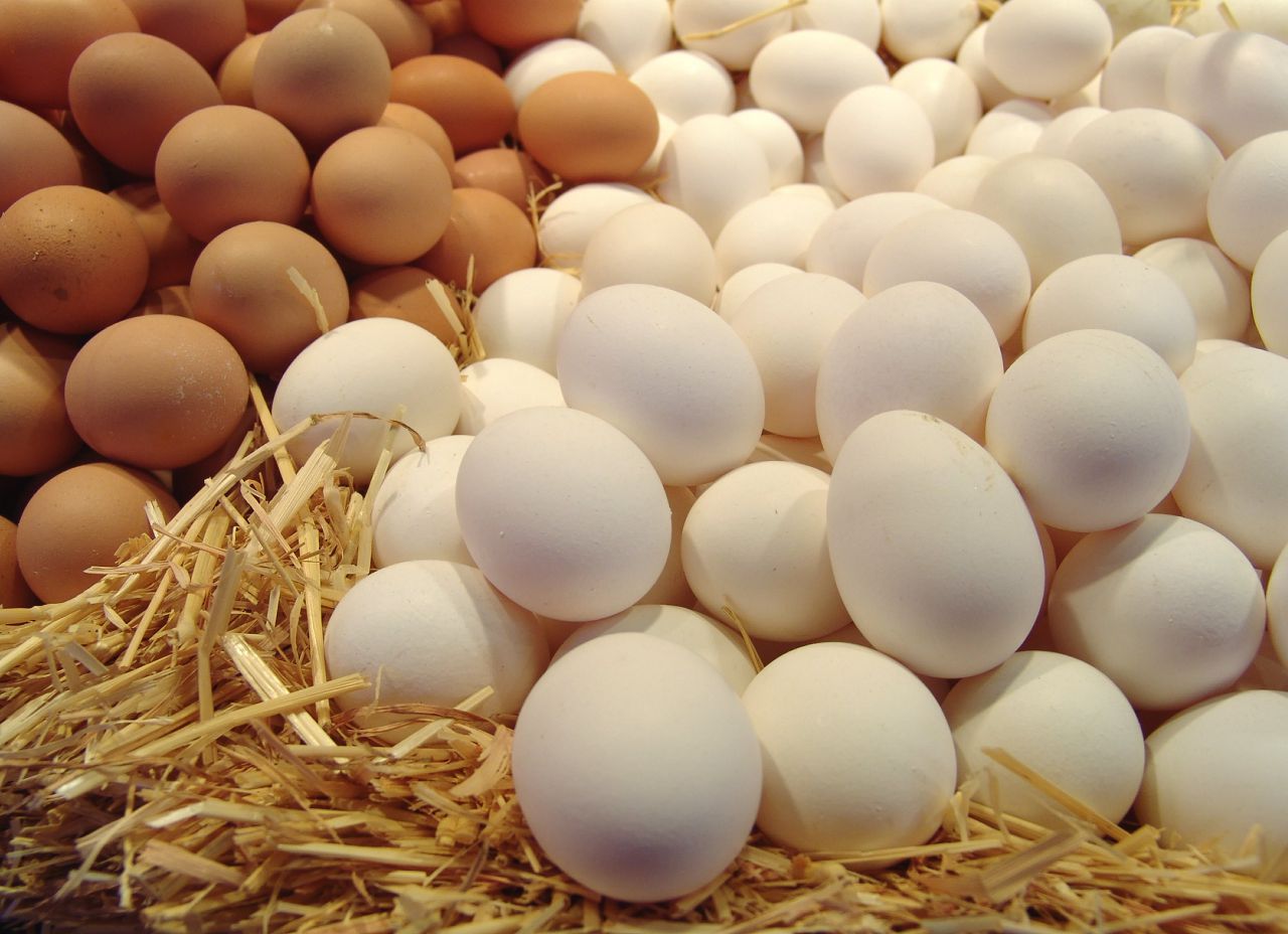 Более 10 млн яиц экспортировала в Афганистан Павлодарская область