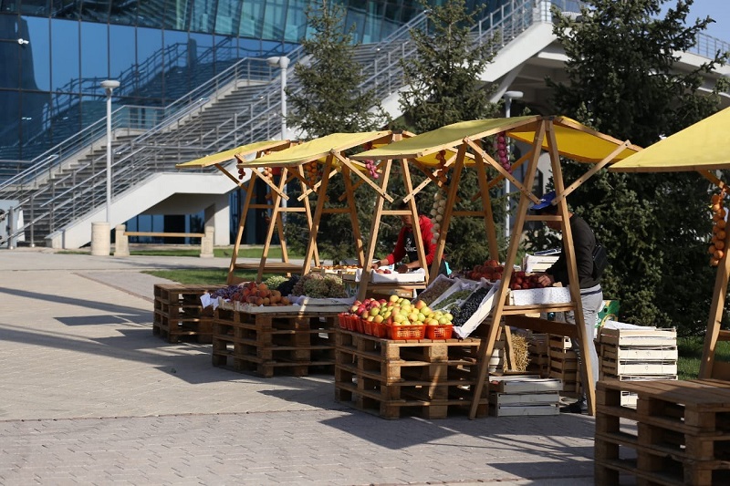 "Яблочные шашки" и "Алмабол": в Алматы празднуют День города