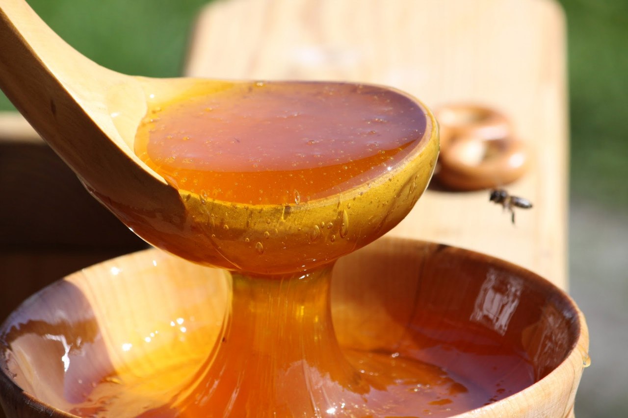Около 260 тонн меда соберут в этом сезоне пчеловоды ВКО