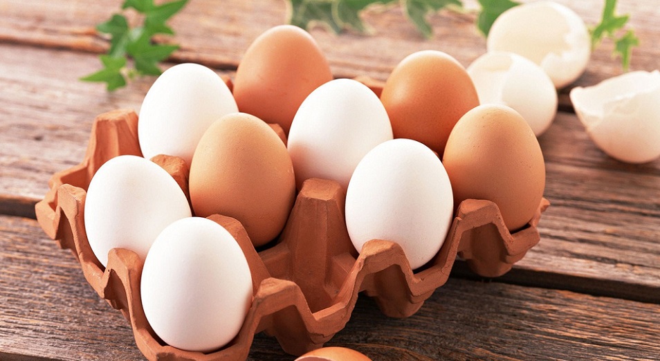 «Курс» яйца в Павлодаре удалось зафиксировать 