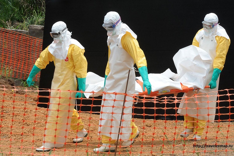 В ДРК подтвердили 13 случаев заражения вирусом Эбола