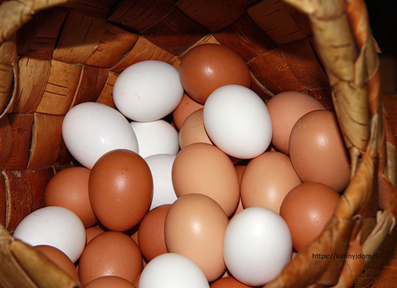 В Семее не хватает куриных яиц местного производства