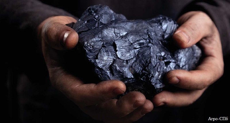 Покупать уголь заранее посоветовал астанчанам Асет Исекешев 