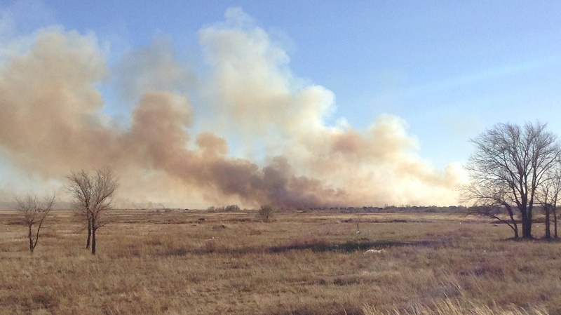 В Восточном Казахстане выгорело 80 га степи