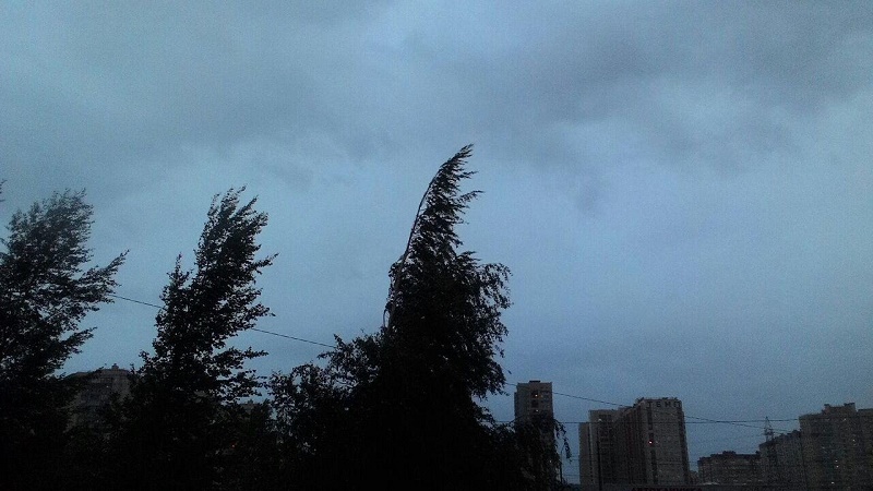 Штормовой ветер ожидается в Кызылординской области