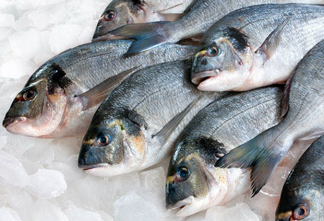 Атырауские рыболовы испытывают трудности с экспортом в ЕАЭС