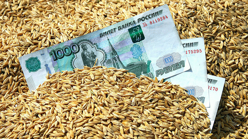 Сбор зерна в РФ к 1 ноября составил 122,5 млн тонн в бункерном весе