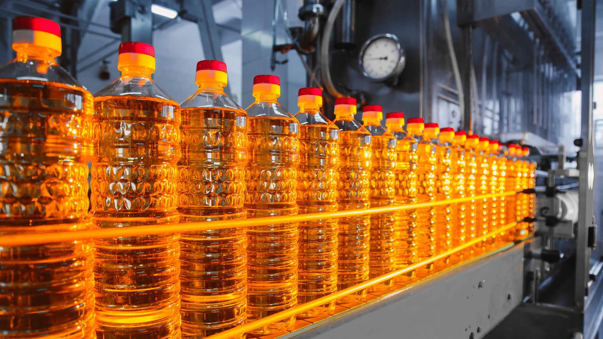 Казахстанская "дочка" Сбербанка профинансировала модернизацию производства подсолнечного масла в Жамбылской области