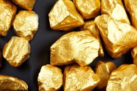 Aurum Deutschland AG планирует построить золотодобывающее предприятие в Жамбылской области 