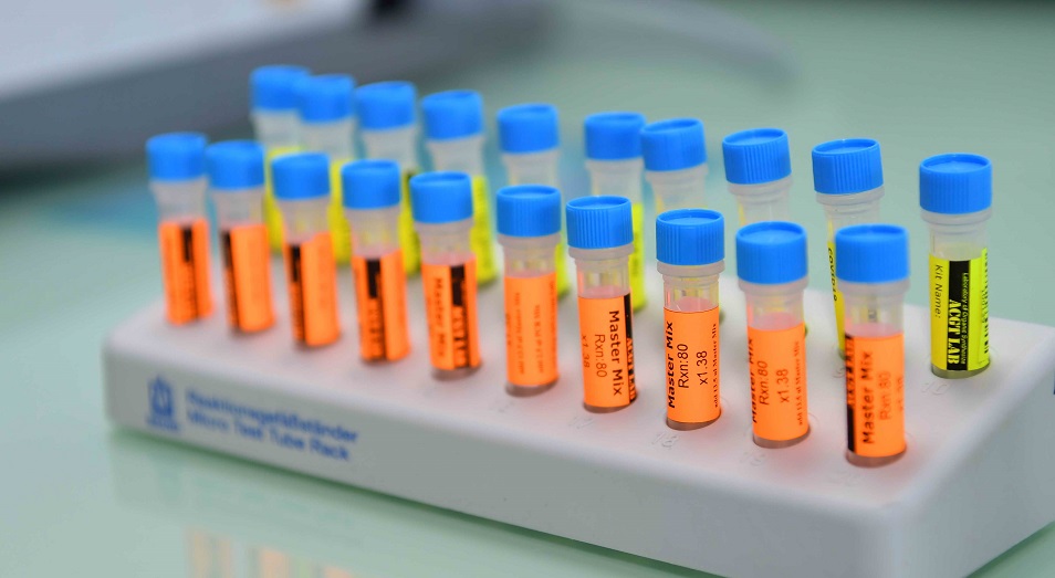 Объем ПЦР-тестирования на коронавирус в РК к середине мая увеличится до 28 тысяч в сутки   