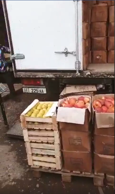 Два грузовика с яблоками из Кыргызстана выдворены за пределы РК из Шымкента