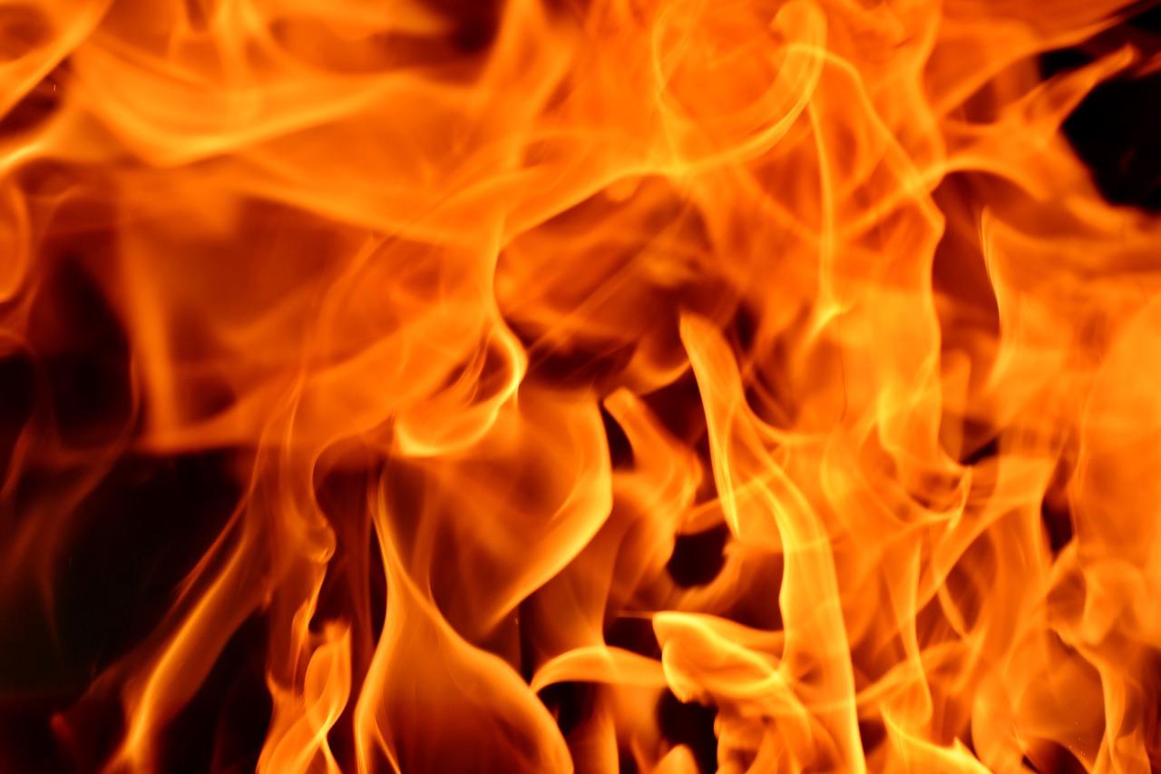 Более 150 тонн сена сгорело во время пожара в частных подворьях в ЗКО