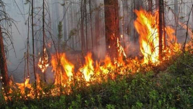 Пожарные продолжают тушить очаги огня в природном резервате в ВКО
