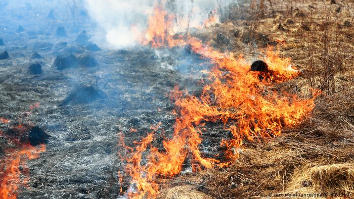 Двое суток боролись с пожаром в Акмолинской области