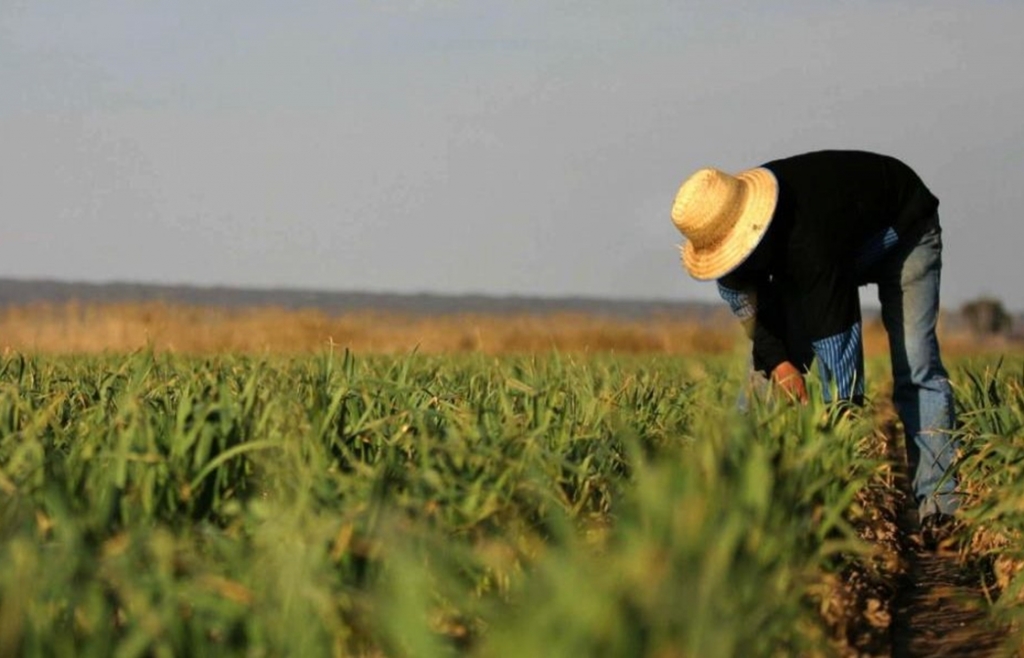 Qoldau внес изменения от уловок фермеров, «резервирующих» субсидии