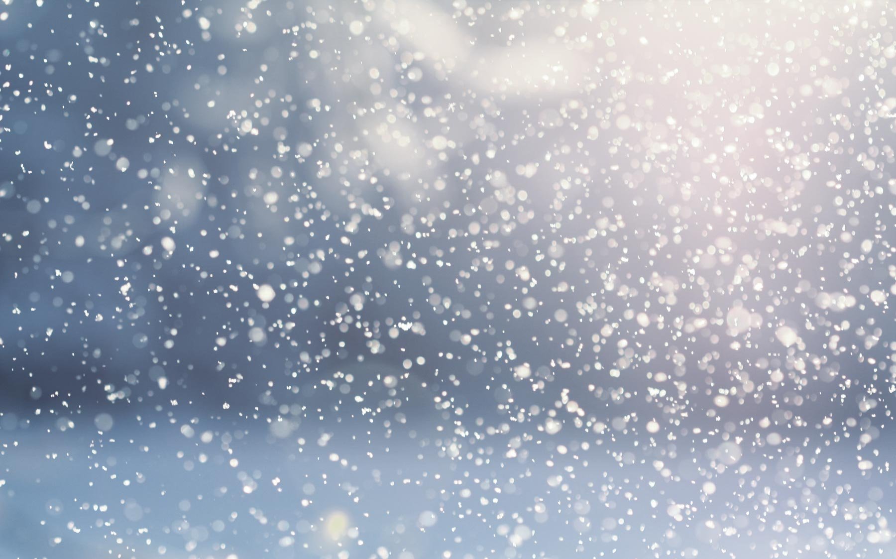 Снег прогнозируют синоптики 16 ноября на севере Казахстана