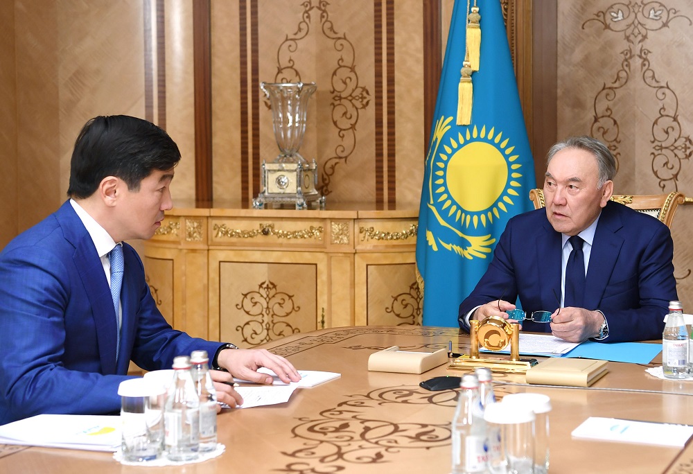Нурсултан Назарбаев поблагодарил бизнес-сообщество за поддержку фонда Birgemiz