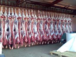 Департамент экологии Алматинской области запретил строительство мясоперерабатывающего завода в Талдыкоргане