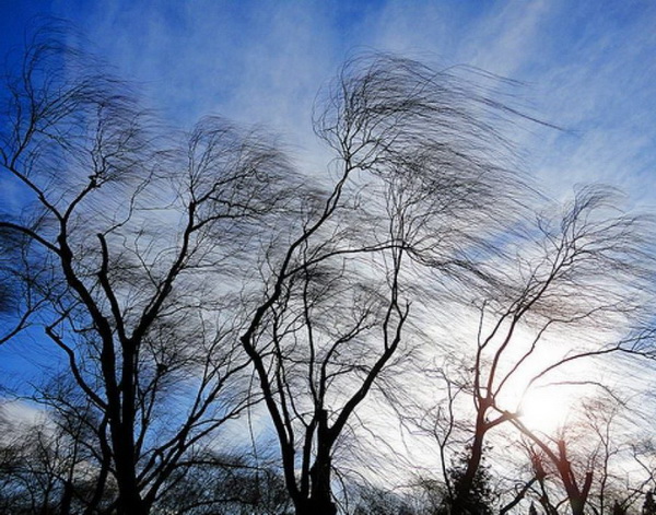 Погода в РК: усиление ветра ожидается во многих регионах