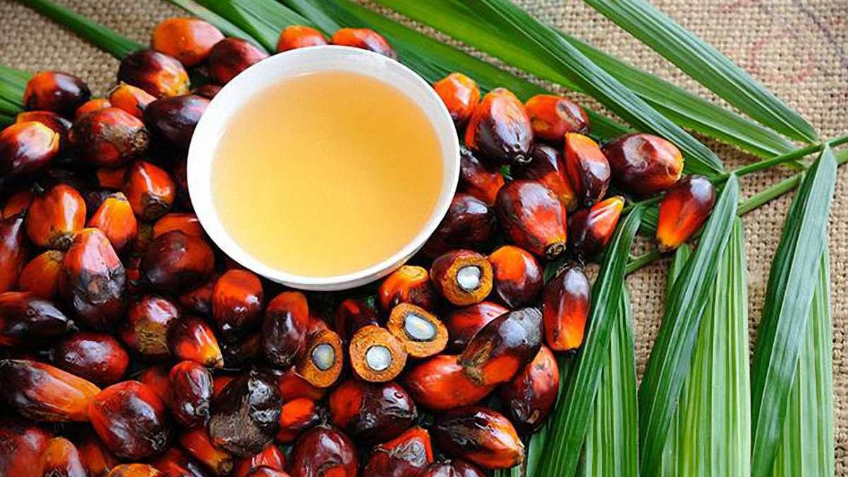 Депутаты требуют ввести 20%-ную пошлину на ввоз пальмового масла   