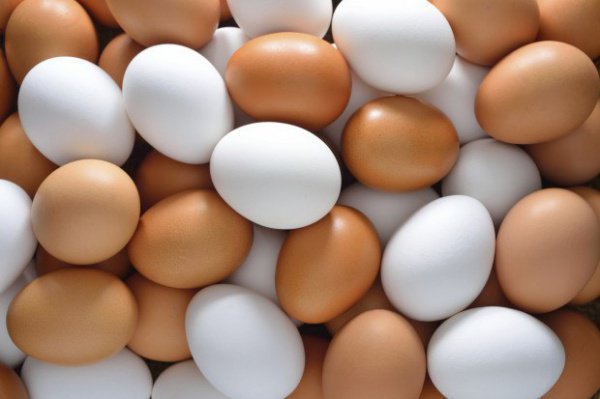 Костанайские яйца могут подорожать