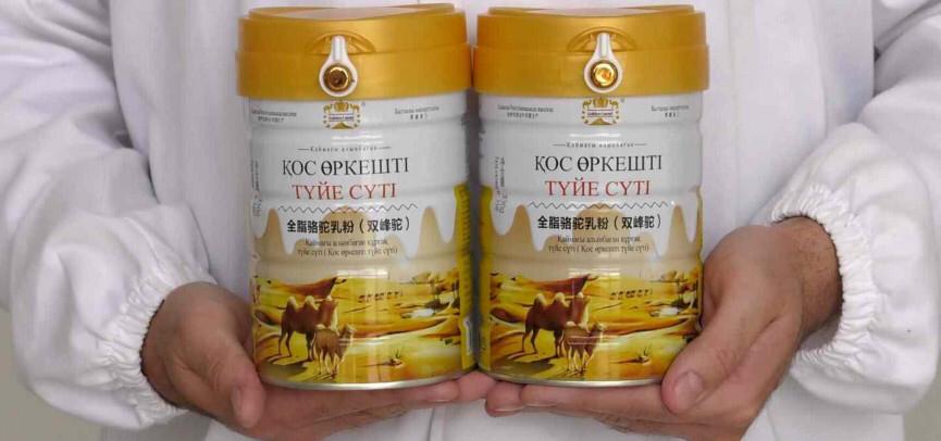 Предприятие Туркестанской области экспортировало 30 тонн сухого верблюжьего молока в Китай