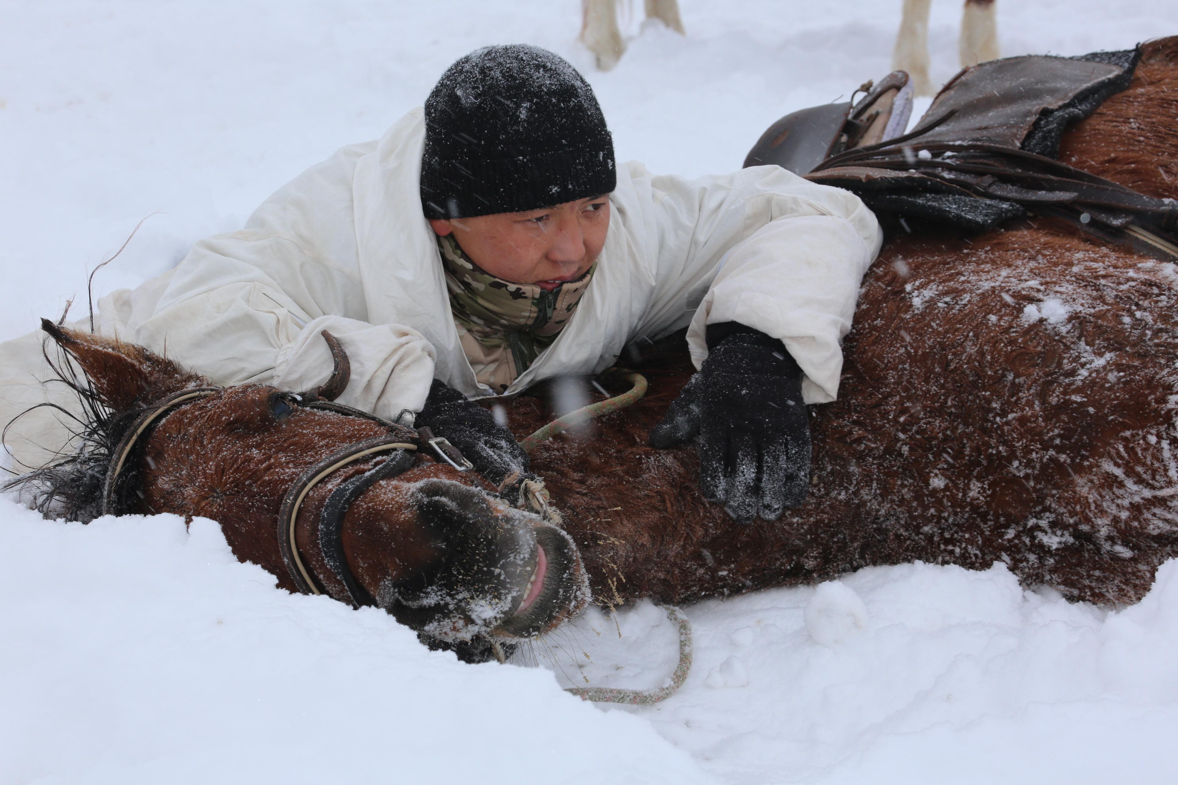 Казахстанские военнослужащие примут участие в Международном конном марафоне в Монголии