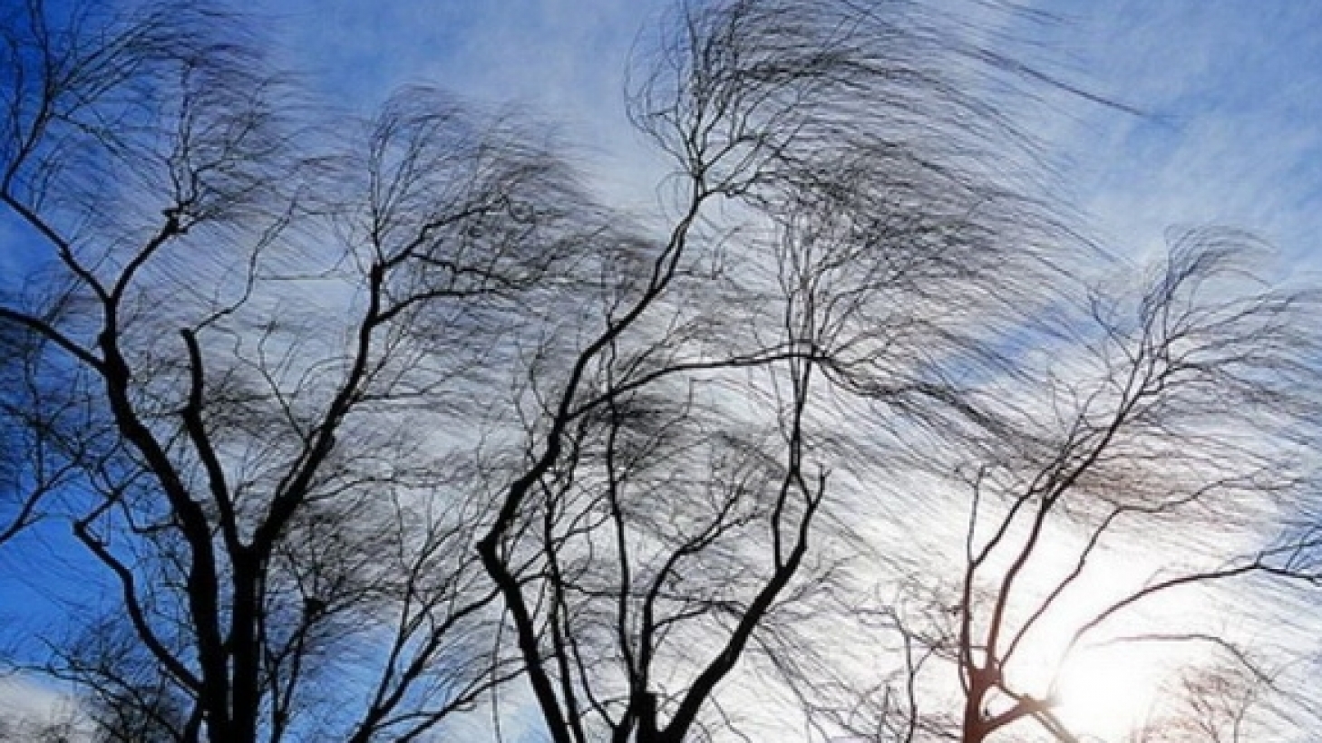 Сильный ветер ожидается в четверг в Костанайской и Туркестанской областях