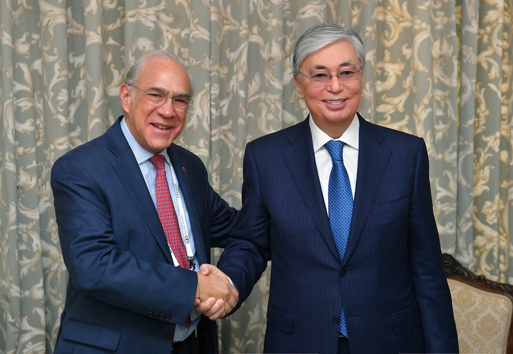 Сотрудничество между Казахстаном и ОЭСР обсудили Токаев и Гурриа
