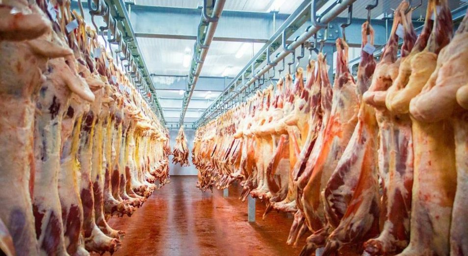 В Туркестанской области экспорт мяса увеличился в 2,2 раза