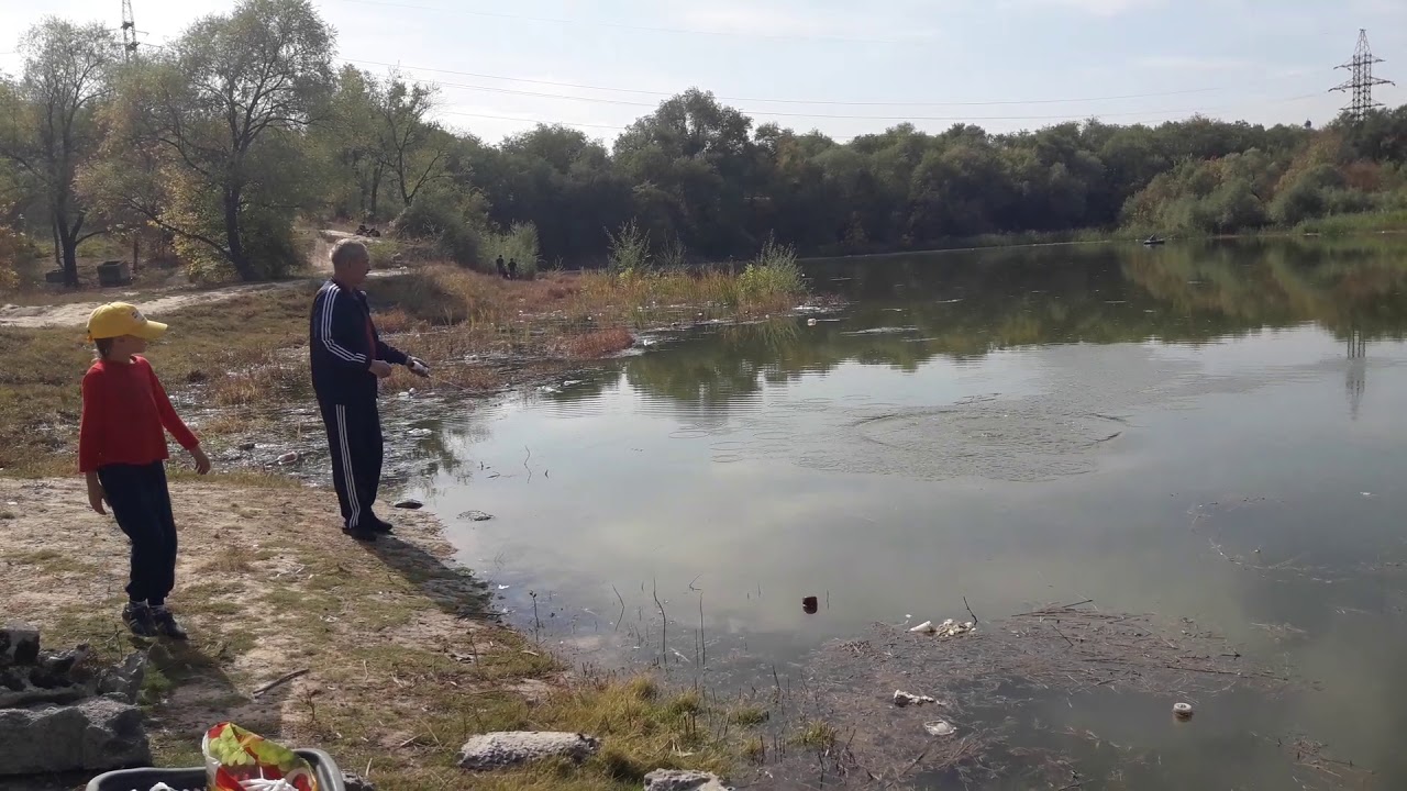 На озере Пархач зафиксировано 11-кратное превышение предельной нормы по химическому потреблению кислорода
