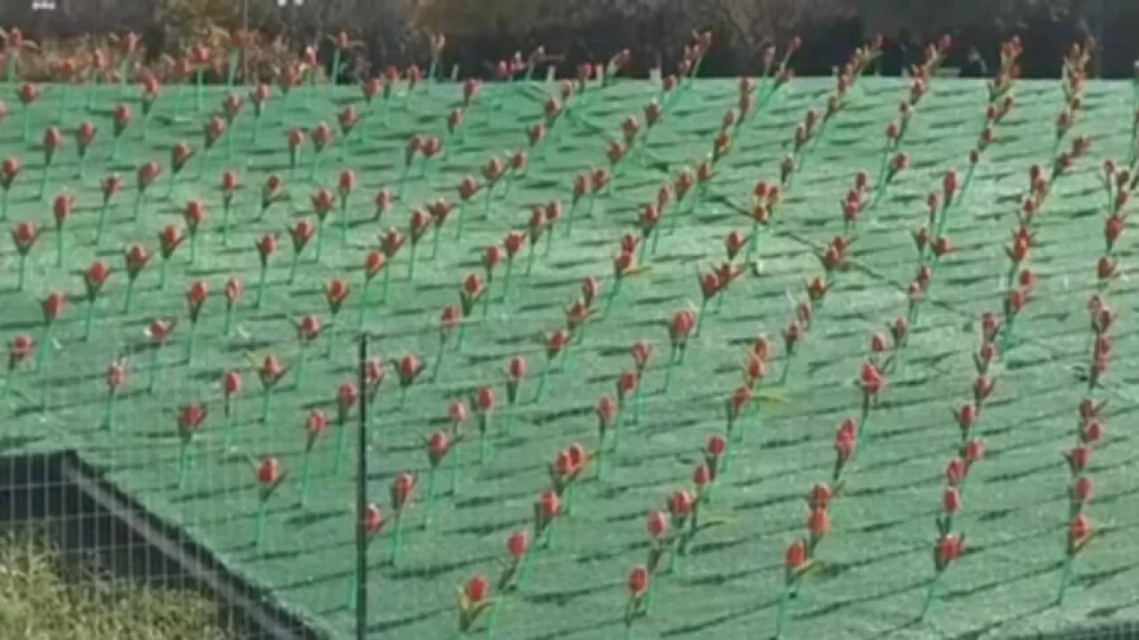 В Актау  новогоднюю елку установит компания, известная инсталляцией с пластиковыми тюльпанами