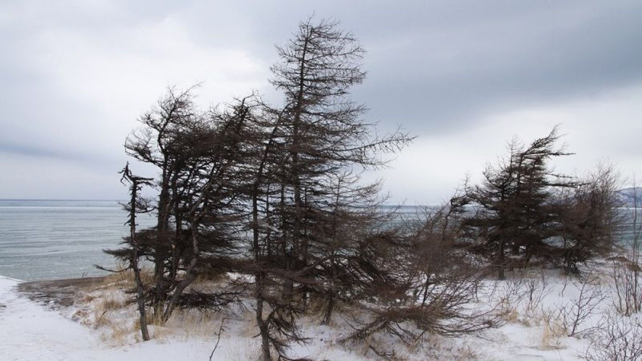 В Казахстане ожидается усиление ветра 