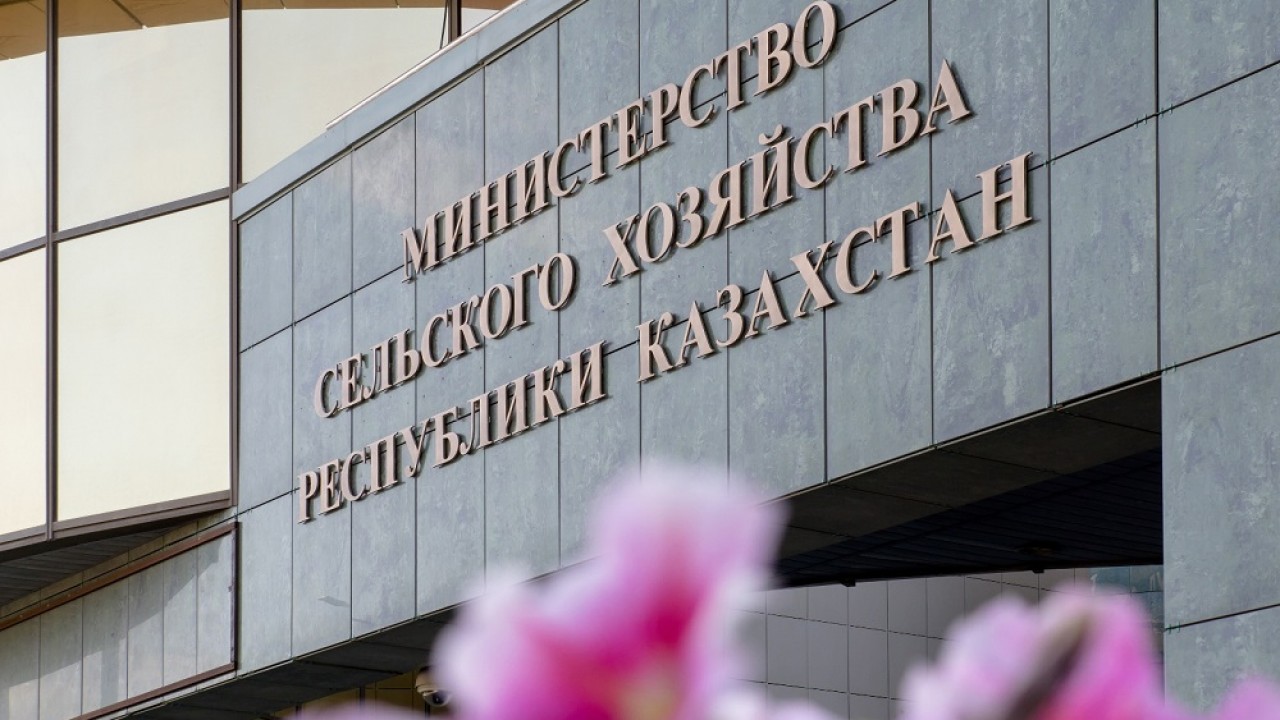 Казахстанские аграрии подали более 160 заявок на форвардные контракты 