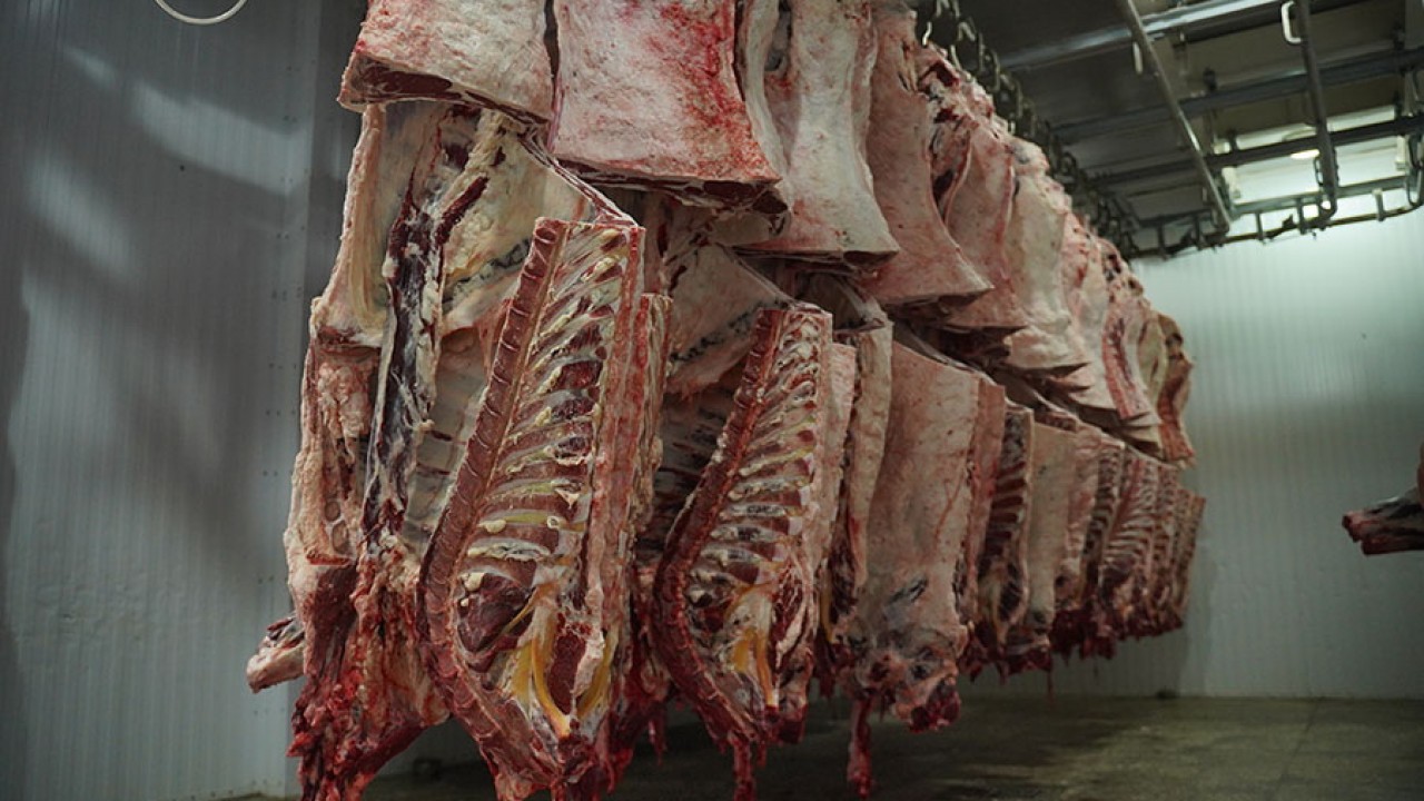 В Казахстане планируют запустить 24 мясокомбината  
