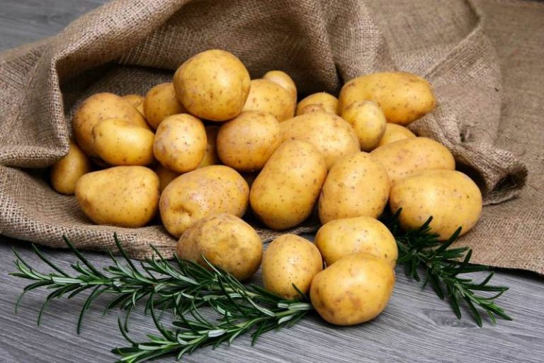 Экспортқа шектеу алынбаса 150 мың тонна картоп шіріп кетеді 