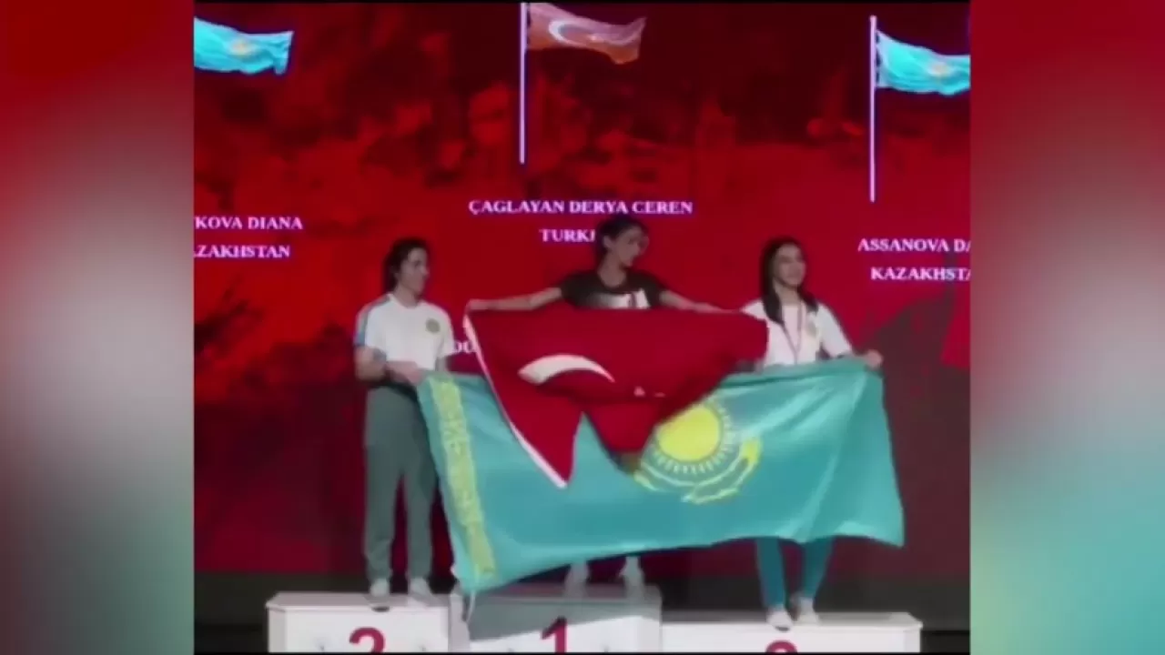 В Турции прокомментировали скандал с казахстанским флагом