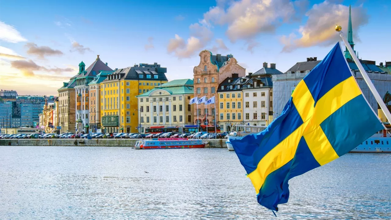 Швеция хочет создать объединенную северную армию