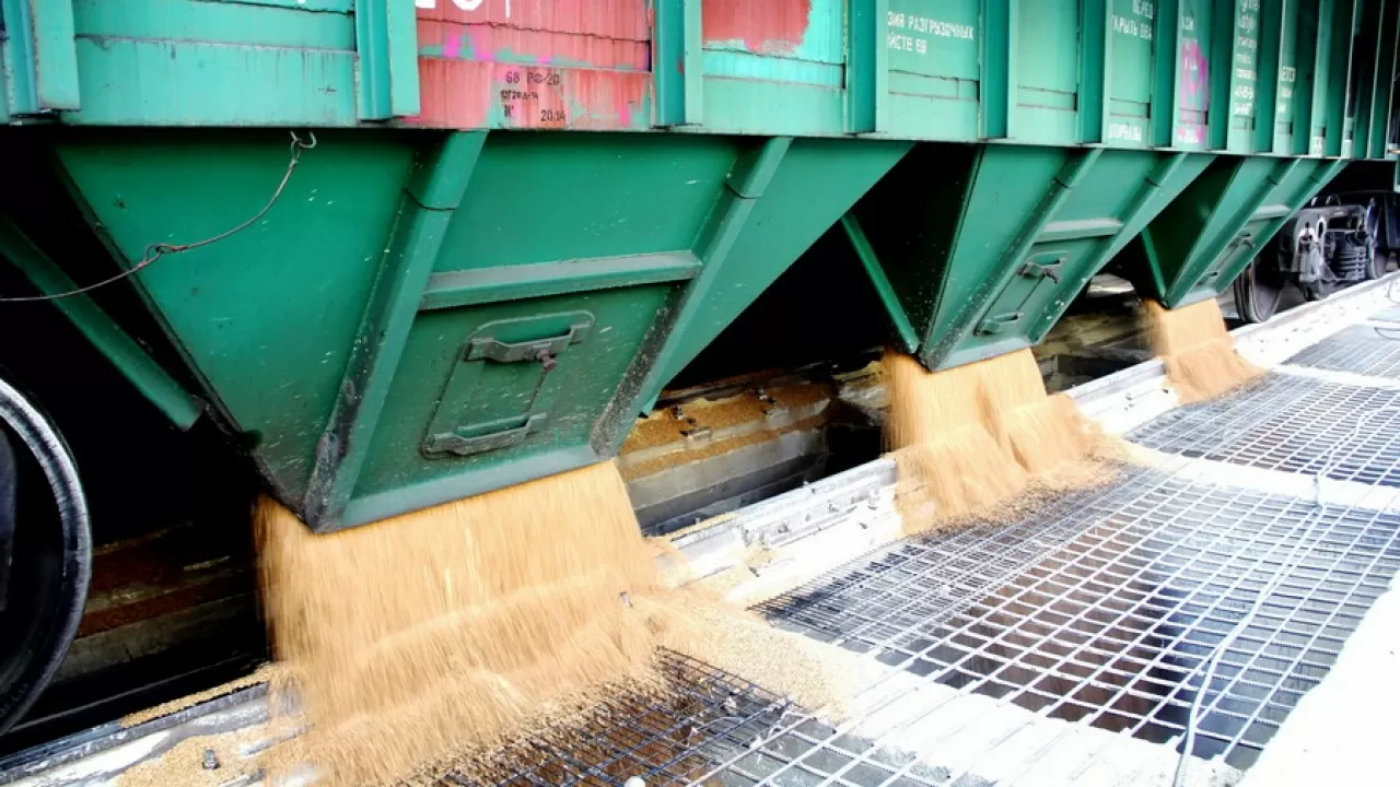 В Казахстане предлагают отменить штрафы для грузоотправителей зерна и его продуктов 