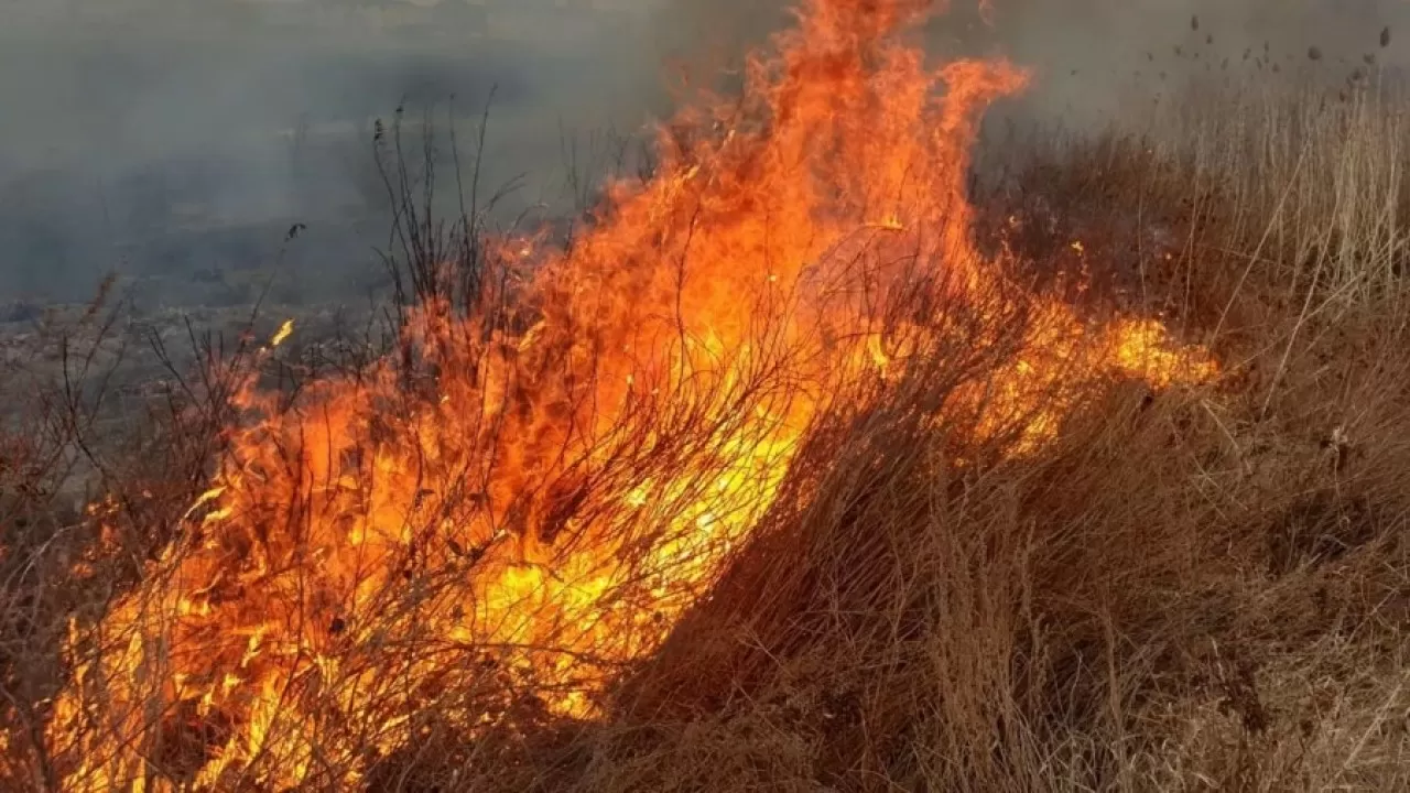 Очередной степной пожар вспыхнул в сельской зоне в Павлодарской области